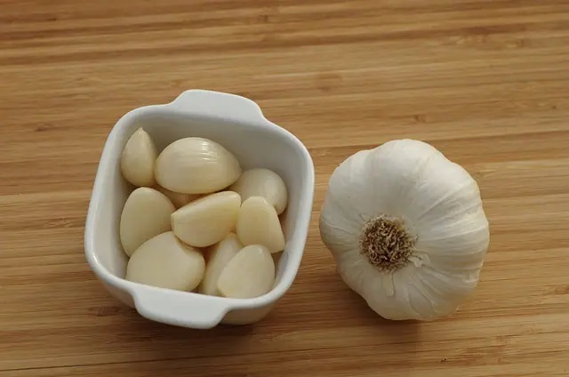 にんにく 動脈硬化